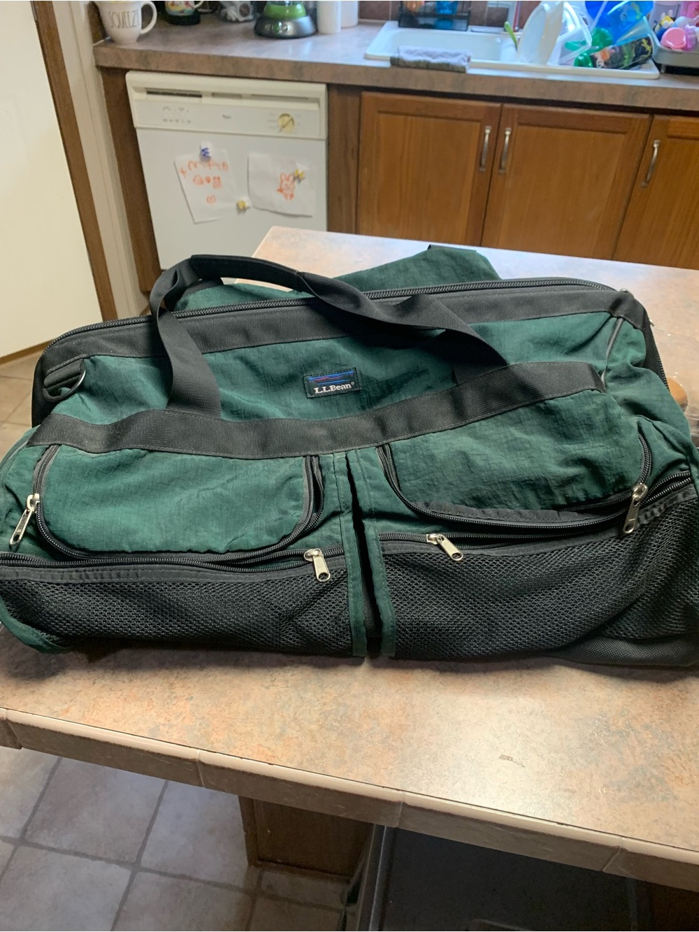 L.L. Bean Traveler Large Green Duffle Bag